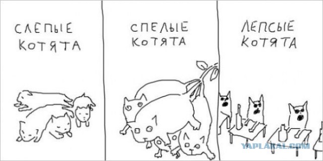 3988164.jpg