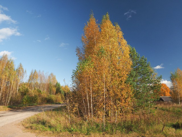 Деревня Девкино. Окрестности. Часть третья и последняя.