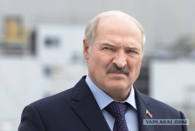 После слов Лукашенко о России Минск остановит нефтепровод «Дружба»