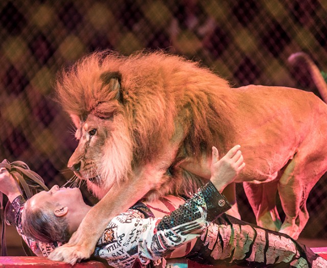 Жертвы цирка: 10 трагических случаев, которые произошли на арене