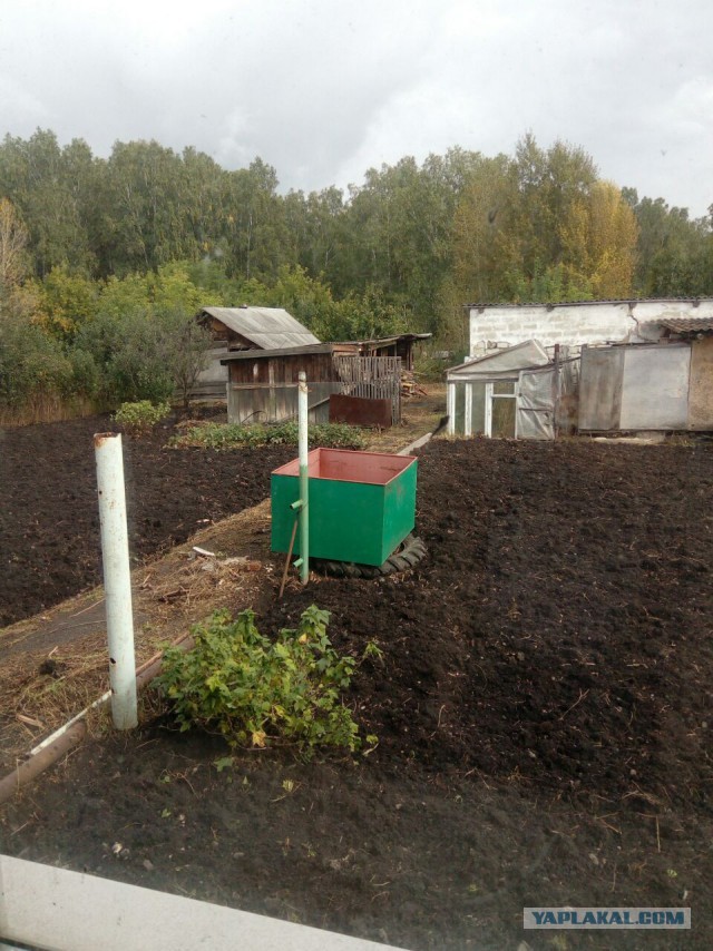 О том, как я переехал в деревню и не сбежал обратно 2