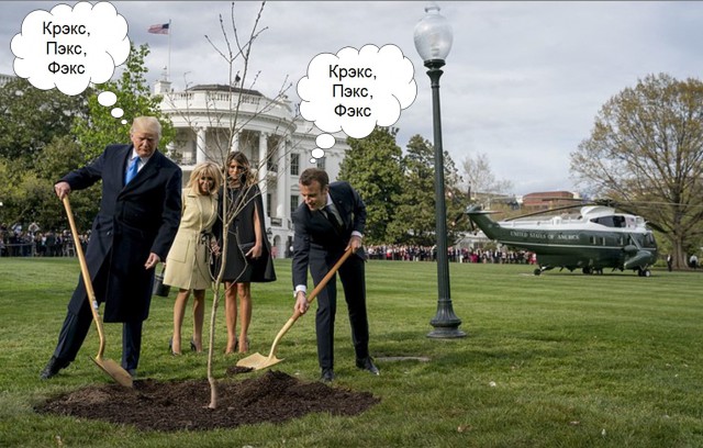 Сажающие дерево Трамп и Макрон превратились в мем