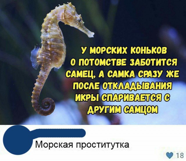 Немного картинок в эту пятницу