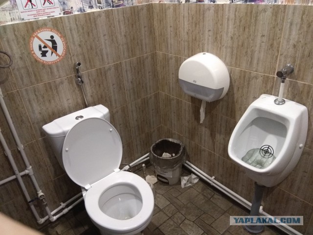 Туалет у дороги в России