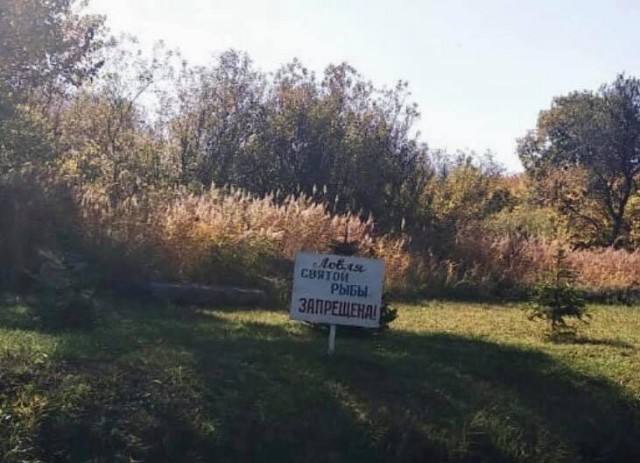 В Ставропольском крае запретили ловлю святой рыбы