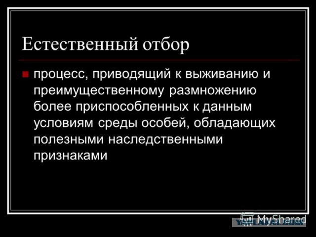 Почему на ваш взгляд кандидат достоин победы в конкурсе Почему на ваш взгляд кандидат достоин победы в конкурсе