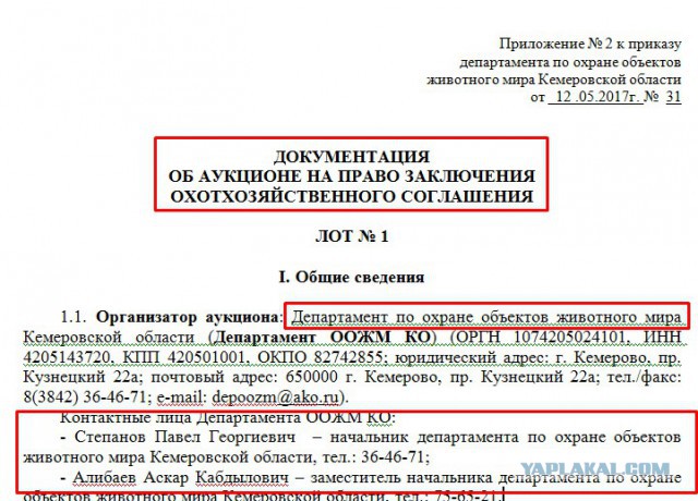 Кузбасские чиновники продают 142 тысячи гектаров тайги рядом с госзаповедником за 6 400 рублей
