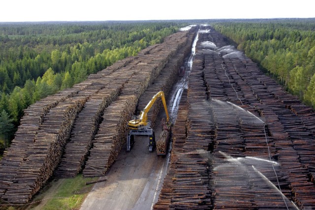 Гигантские залежи древесины в Швеции