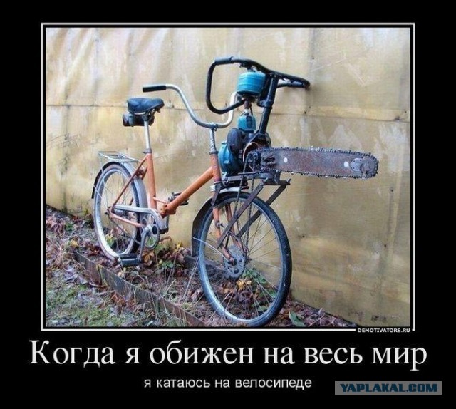 Как сделать шорты из старых джинсов Как сделать фотозону для фотосессии своими руками (Фото)