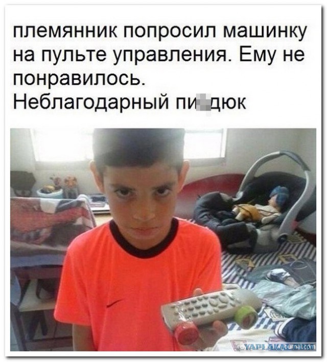 8341084.jpg