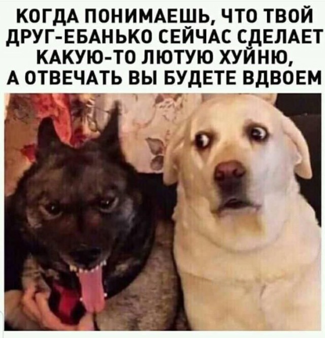 13041484.jpg