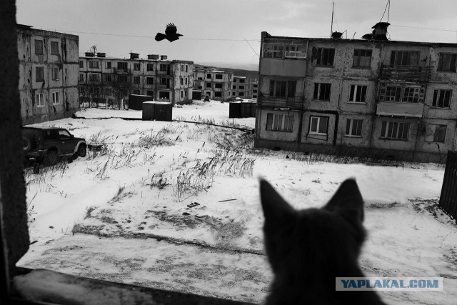 Город-призрак на Курилах.Жизнь военного городка на острове Итуруп. Фотоистория Олега Климова.