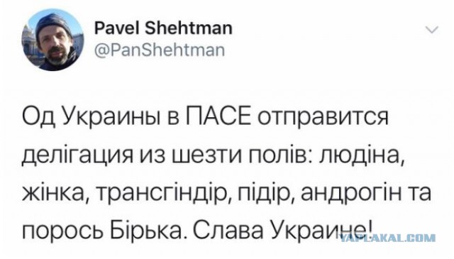 ПАСЕ рекомендовала Госдуме и Совфеду сформировать делегацию с учетом деления на шесть полов