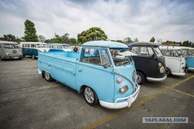 Volkswagen вернет на конвейер модель 1950 года