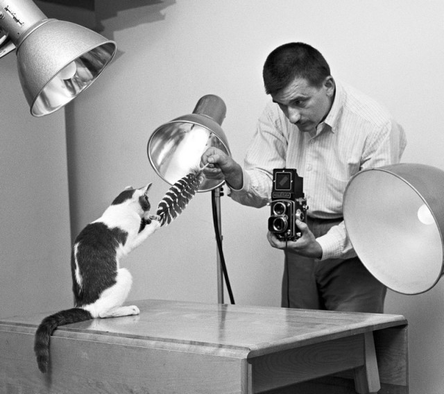 Уолтер Чандоха – человек, который 70 лет фотографировал кошек