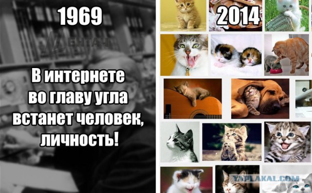 Интернету 45 лет...