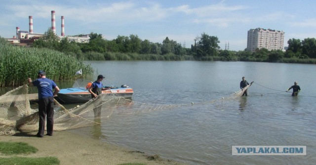 Рыбопад в Краснодаре