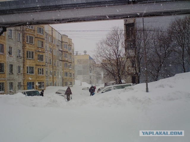 Весна на Камчатке