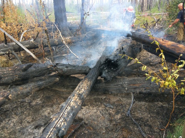 Видео лесных пожаров в Иркутской области с квадрокоптера