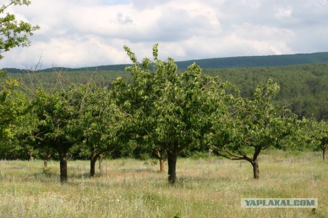 Лаки - Крымская Хатынь