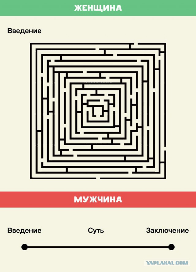 10 отличий мужчины от женщины