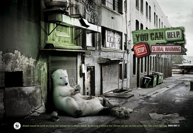 Социальная реклама: Бездомное зверье