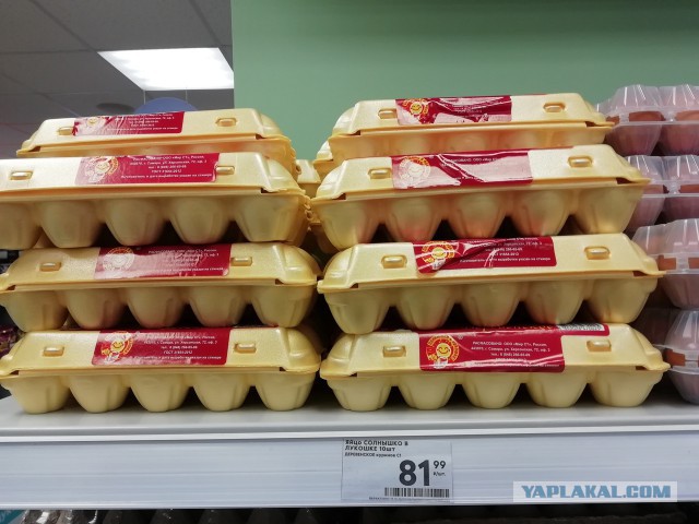 Золотой омлет. Цены на яйца в Оренбурге за ночь выросли на 80%