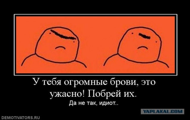 Такие брови это же неприлично Такие брови это же неприлично