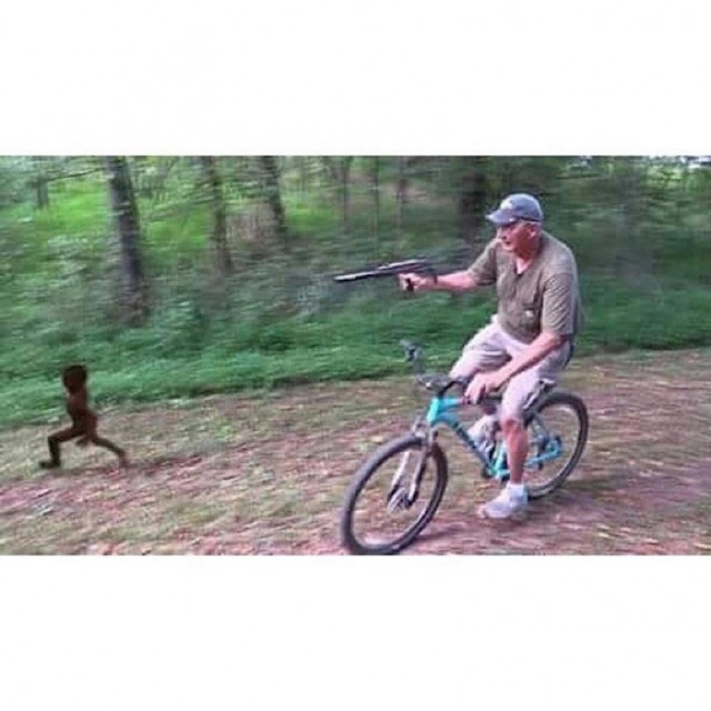 7777205.jpg