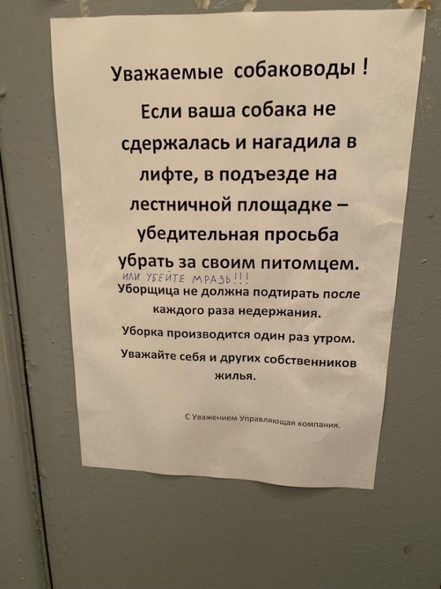 На стене написано