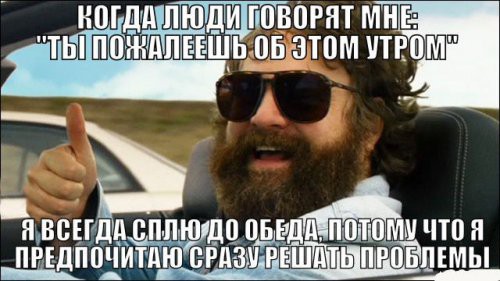 6481505.jpg