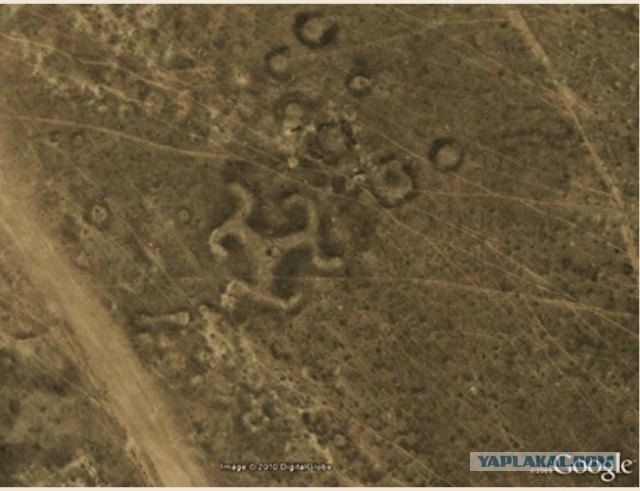 В степях Казахстана найдены 260 гигантских