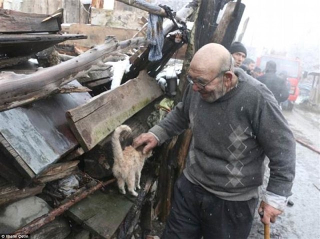 Этот котёнок — всё, что осталось у 83-летнего деда, дом которого сгорел дотла