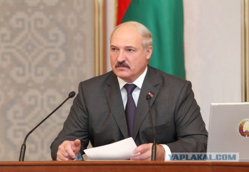 Лукашенко: мы не щенки,чтобы нас за шиворот водить