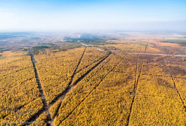 Осенние краски якутской тайги с вертолета