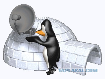 Владелец УАЗа мстит пингвину