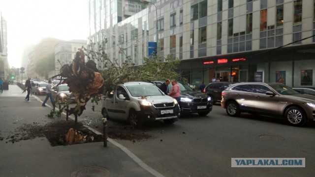 В Москве ураган!