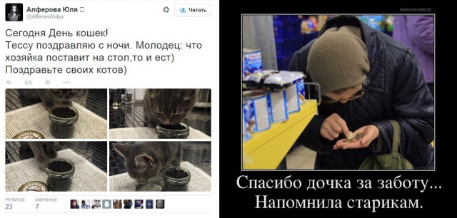 Член ОП Подмосковья не приняла критику из-за фото