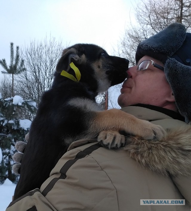 Лучший в мире Новый Год.