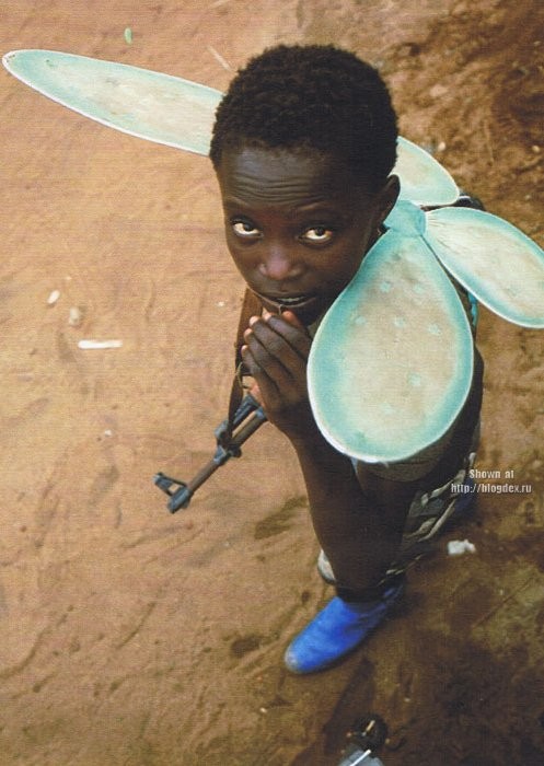 Либерийская бабочка смерти (2 фото)
