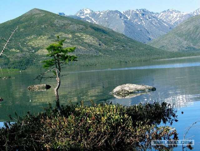 Якуты, клад,золото,любовь...