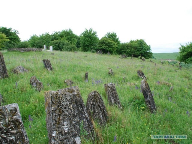 Заброшенная синагога 1532 года и старое кладбище.