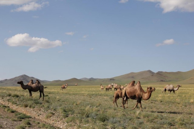 Путешествие по Монголии
