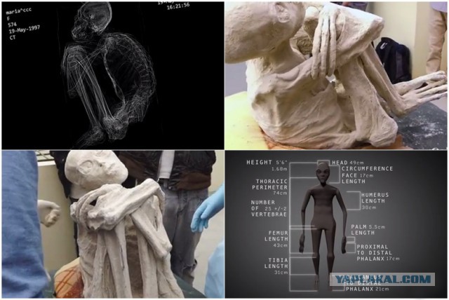 В Перу найдена мумия настоящего инопланетянина