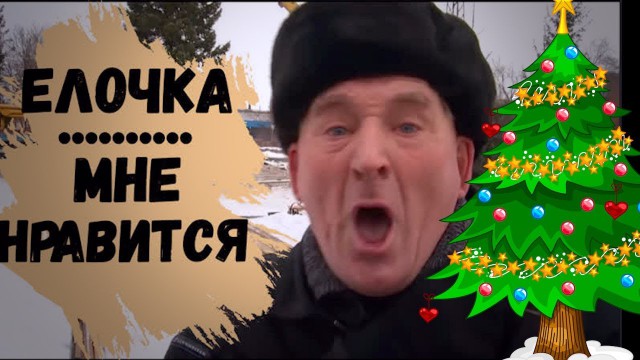 Знаменитому дедушке из Бийска подарили новогоднюю елку и 25 000 рублей