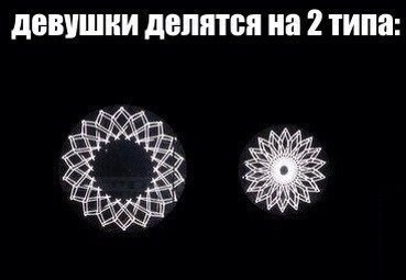 2778915.jpg