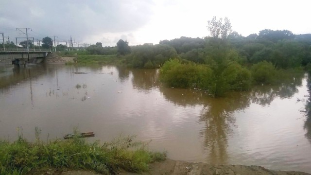 Пострадали животные в уссурийском зоопарке