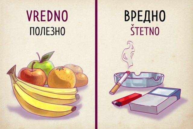 Доказательства того, что сербский язык — это русский наоборот