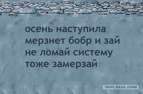 6474825.jpg