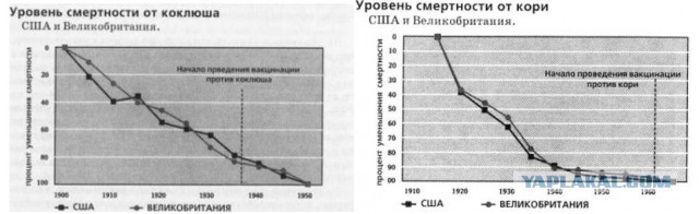 10446925.jpg